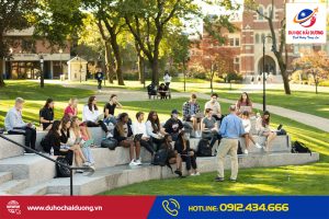 Chương trình Intense Đại học Tịnh Nghi