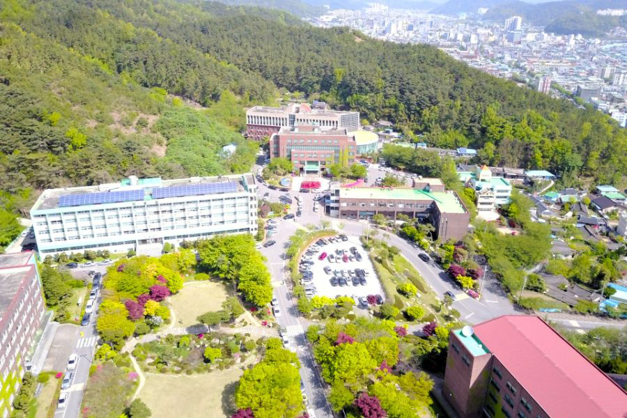 Thông Tin Trường Cao Đẳng Suncheon Jeil Hàn Quốc: Điều Kiện, Ngành Học & Học Phí