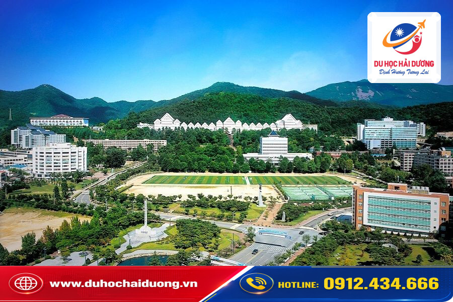 Đại học Chosun