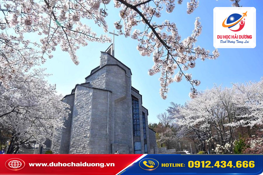 Đại học Hanshin Hàn Quốc